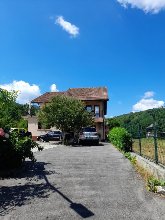 Villa Casa Zoe Seaca Călimăneşti Esterno foto