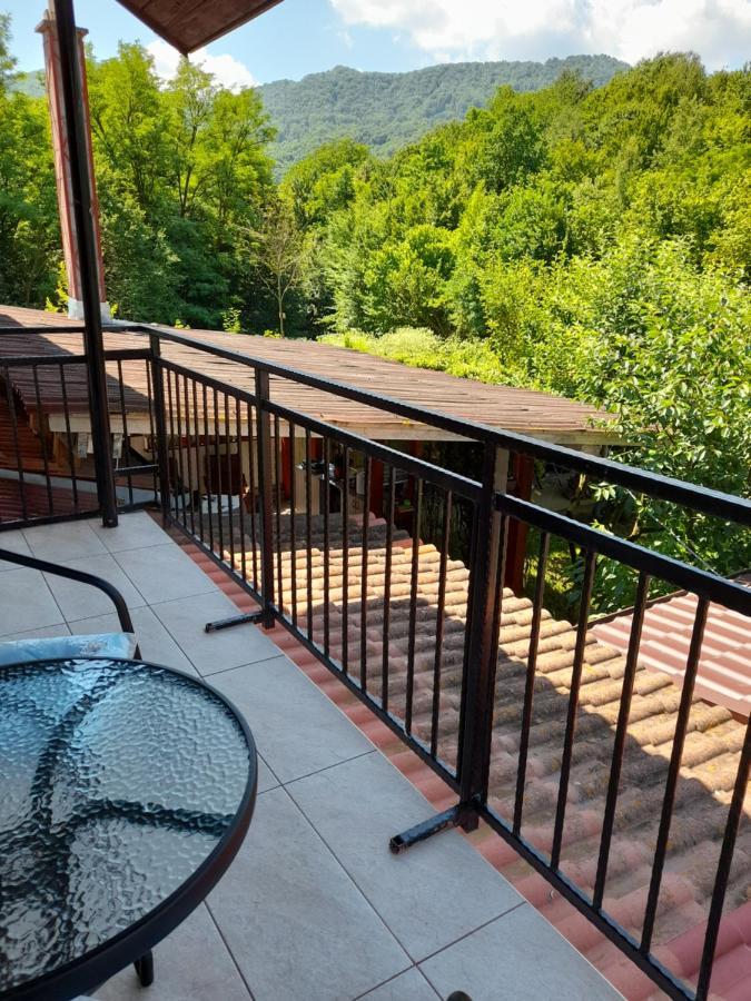 Villa Casa Zoe Seaca Călimăneşti Esterno foto
